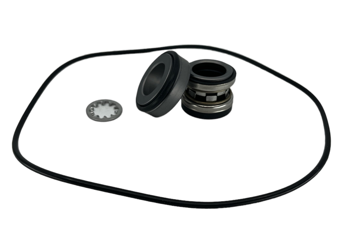 Ace Pumps Repair Kit Silicon Carbide Seal For 205 Pumps - RK-FMCSC-205 (52705)