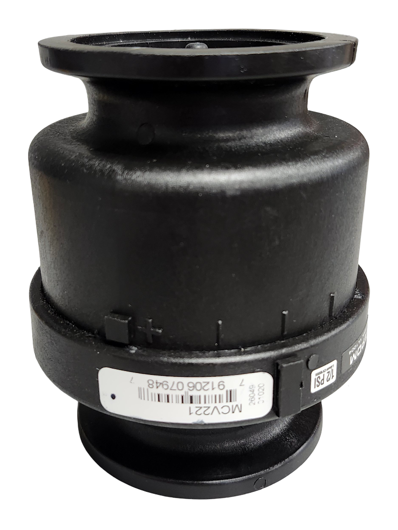 Banjo 2 inch Full Port Manifold Flange 1/2 PSI Check Valve - 200 PSI Max - MCV221