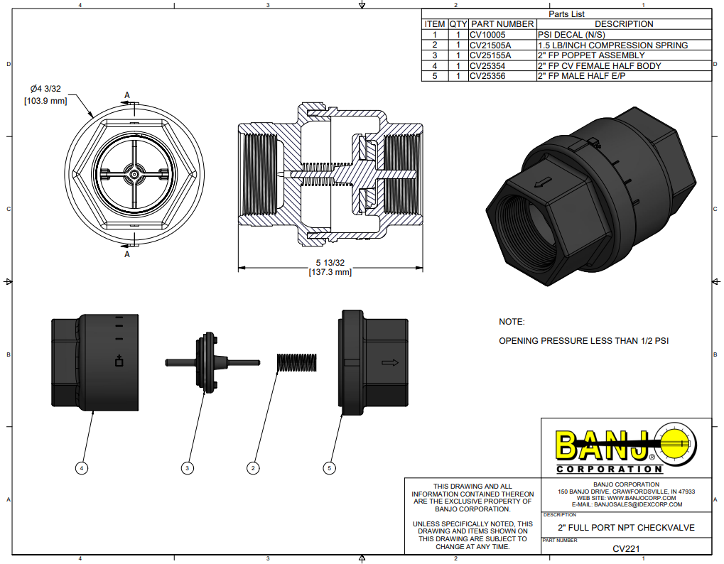 Banjo 2 Inch Female NPT Full Port Check Valve Assembly 300 PSI - CV221