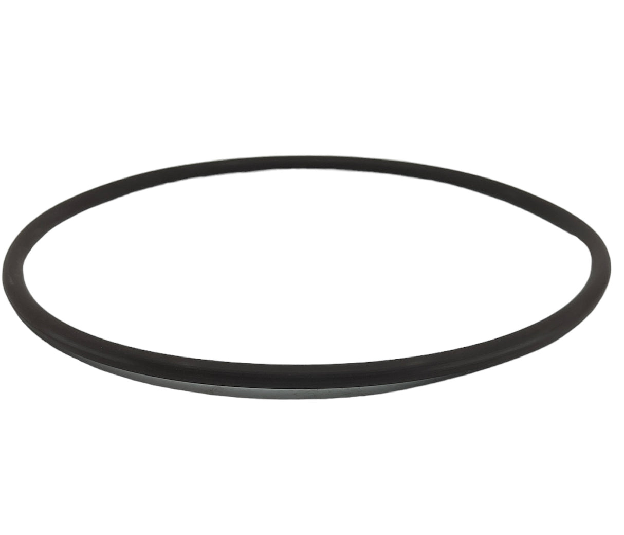 Banjo FKM Cap Gasket for 3 Inch Y Strainers - MLS300GV
