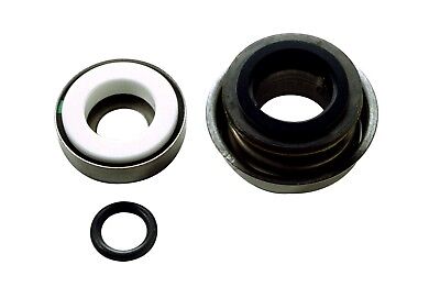 Ace Pumps Carbon Ceramic Viton Replacement Seal - BAC-7V (40151)