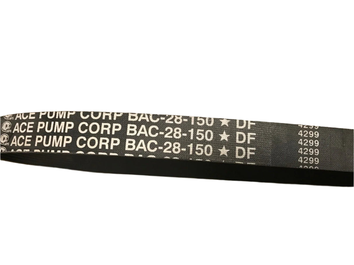 Ace Pumps 10 Groove Belt for PTOC-150-600, 44" Poly-V - BAC-28-10-150 (40611)