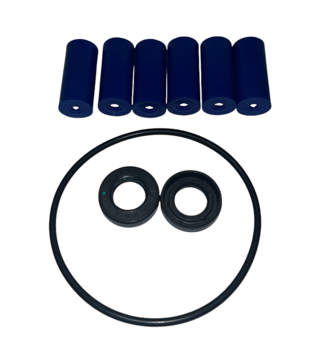 Hypro Roller Pump Repair Kit for 6500 Pump - 3430-0380