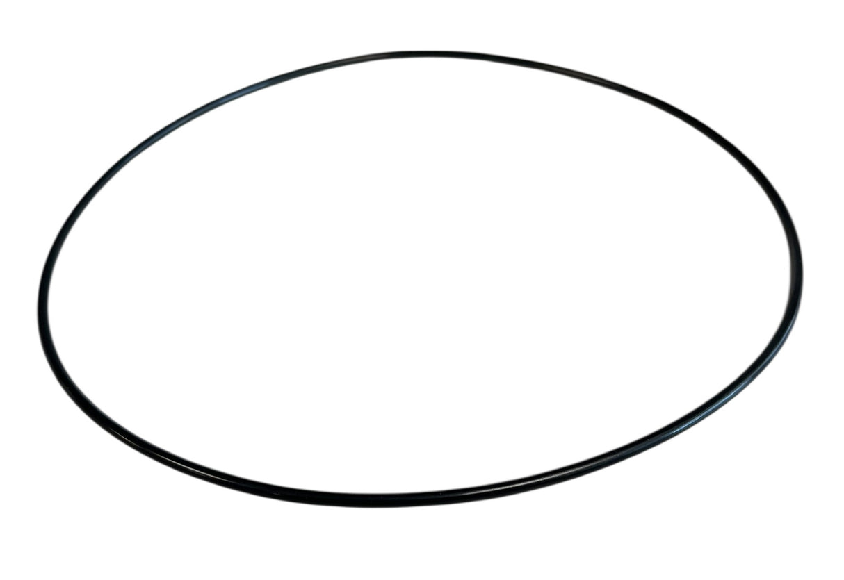Ace Pumps Body Seal Viton O-Ring for BAC-12-150 Volute - BAC-4-150 (40015)