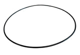 Ace Pumps Body Seal Viton O-Ring for BAC-12-150 Volute - BAC-4-150 (40015)