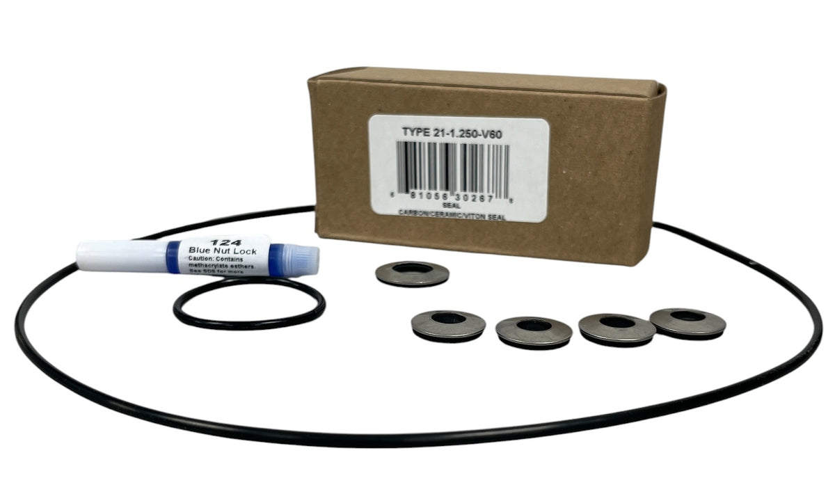 Ace Pumps Repair Kit for GE-860/1660 Series Pumps (61010) - RK-GE-860/1660