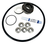 Ace Pumps Repair Kit Assembly for GE-85 Pump (60845) - RK-GE-85