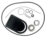 Hypro Viton Seal Kit For 2 Inch Poly Transfer Pump 1540 And 9342 Series - 3430-0659