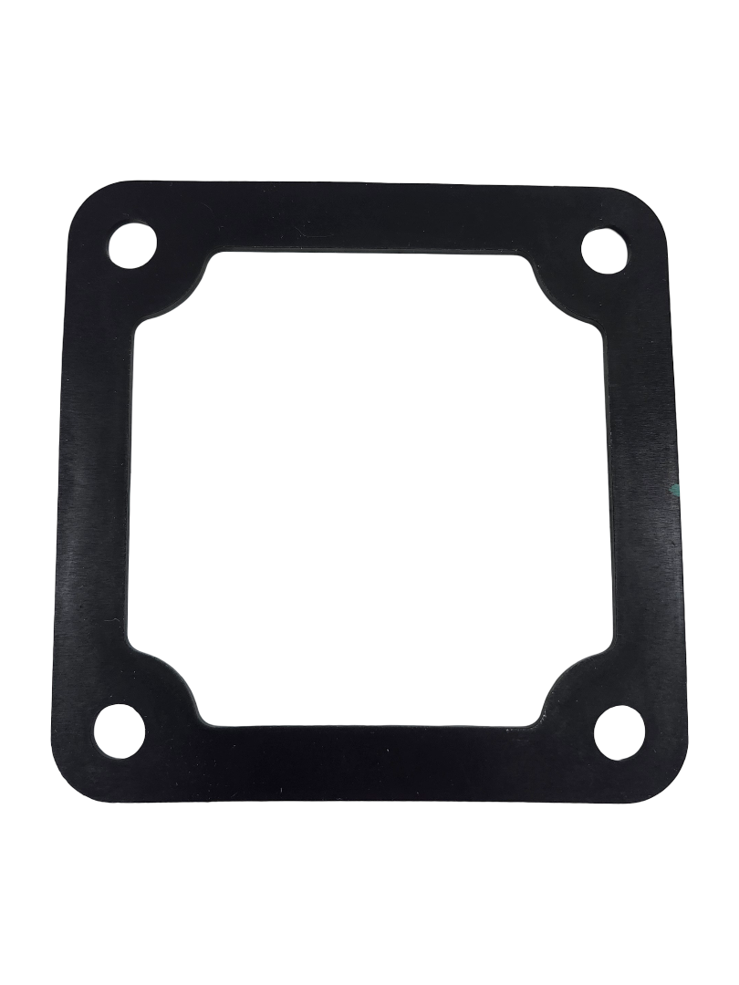 Banjo 2 Inch Stainless Steel Pump Outlet Flange Gasket, Viton - 17014