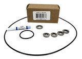 Ace Pumps Repair Kit for GE-860/1660 Series Pumps (61010) - RK-GE-860/1660