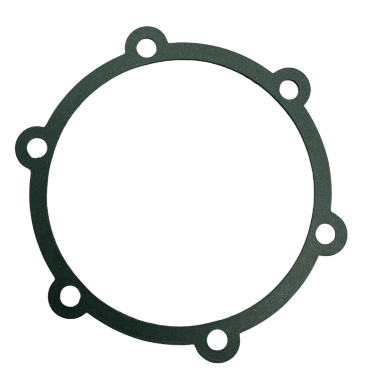 Hypro Gasket for Cast Iron Centrifugal Pumps - 1710-0017