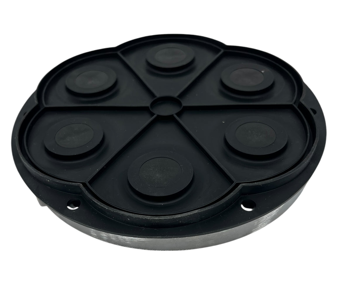Flowserve Wobble Plate Assembly for Standard CT6 Pumps 12V and 115V - CT6KIT-601