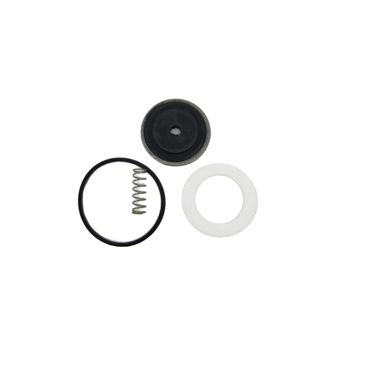 Texas Remcor 2500B and 2502B Solenoid Valve Viton Repair Kit - KT.2352
