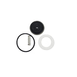 Texas Remcor 2500B and 2502B Solenoid Valve Viton Repair Kit - KT.2352