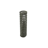 TeeJet Stainless Steel Spring, 23120A Pressure Relief, Valve150# - CP23127-302SS