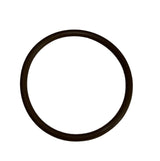 Banjo FKM T Strainer Gasket for 3/4" And 1" T Strainers - LST100-GV