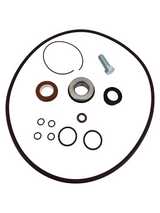 Banjo 3 Inch Pump Viton O-Ring Kit - 13999V