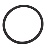 Banjo FKM T Strainer Gasket for 3/4" And 1" T Strainers - LST100-GV