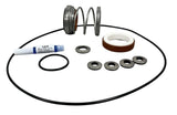 Ace Pumps Repair Kit for GE-860/1660 Series Pumps (61010) - RK-GE-860/1660