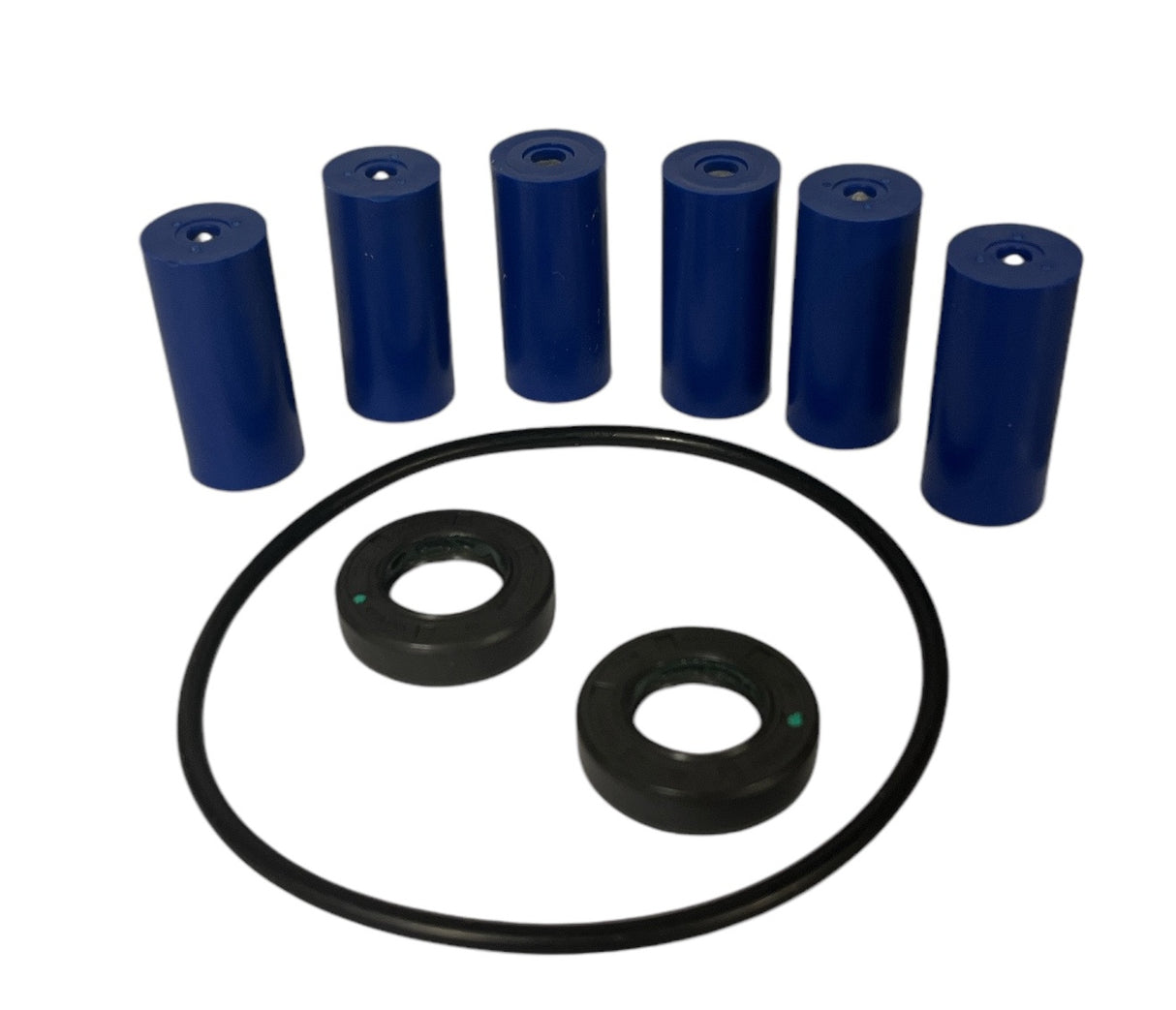 Hypro Roller Pump Repair Kit for 6500 Pump - 3430-0380