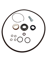 Banjo 3 Inch Pump Viton O-Ring Kit - 13999V