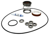 Ace Pumps Repair Kit for GE-860/1660 Series Pumps (61010) - RK-GE-860/1660