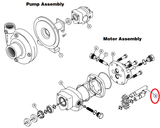 Ace Pumps Drive Shaft For 304A Motor - 43046