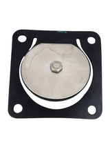 Banjo Inlet Flange Viton Gasket and Check Assembly for Stainless Pumps - 17017