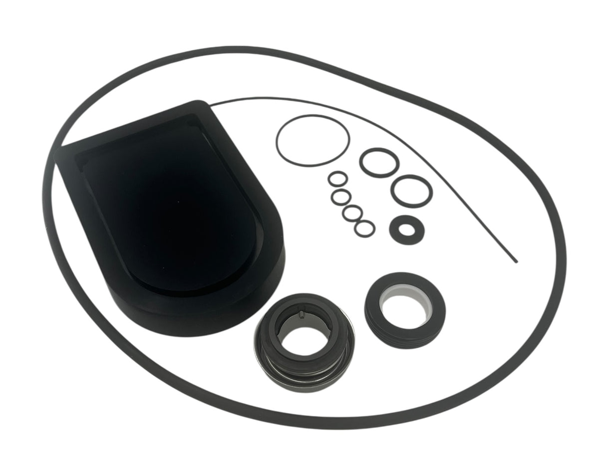 Hypro Viton Seal Kit For 2 Inch Poly Transfer Pump 1540 And 9342 Series - 3430-0659