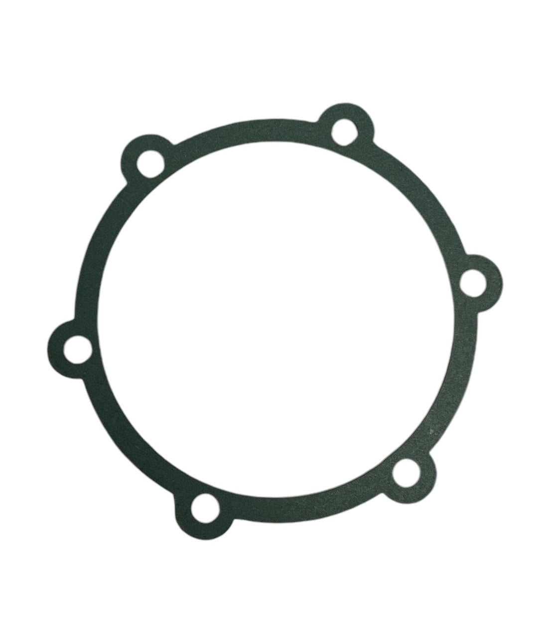Hypro Gasket for Cast Iron Centrifugal Pumps - 1710-0017