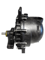 Banjo 2 Inch Poly Pump with Bearing Pedestal - 3/4" Shaft - 200PB