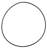 Ace Pumps Body Seal Viton O-Ring for BAC-12-150 Volute - BAC-4-150 (40015)