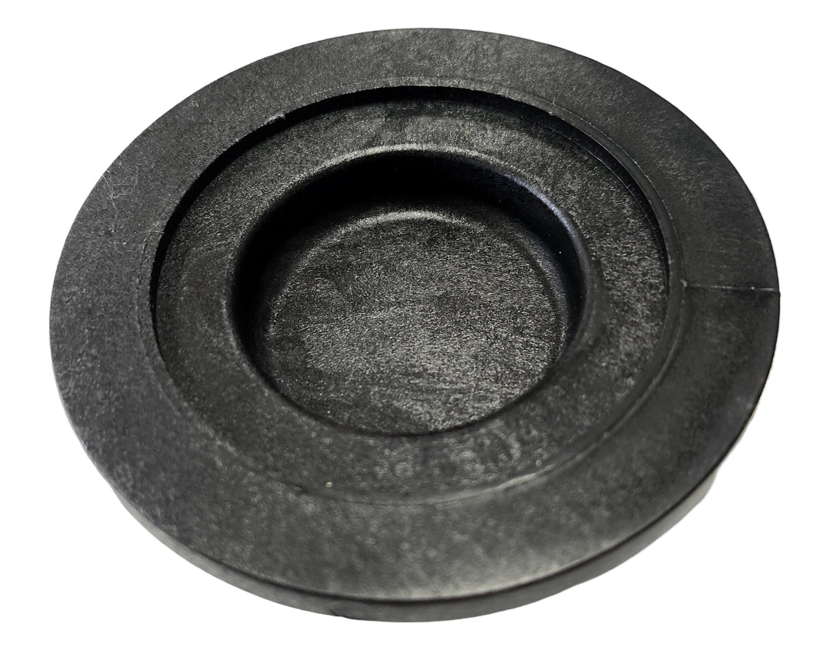 Banjo 2 inch Manifold Flange Plug Cap - M200PLG