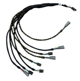 Capstan AG EVO Power To Can X 3 Trunk Harness - 150003-017