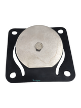 Banjo Inlet Flange Viton Gasket and Check Assembly for Stainless Pumps - 17017