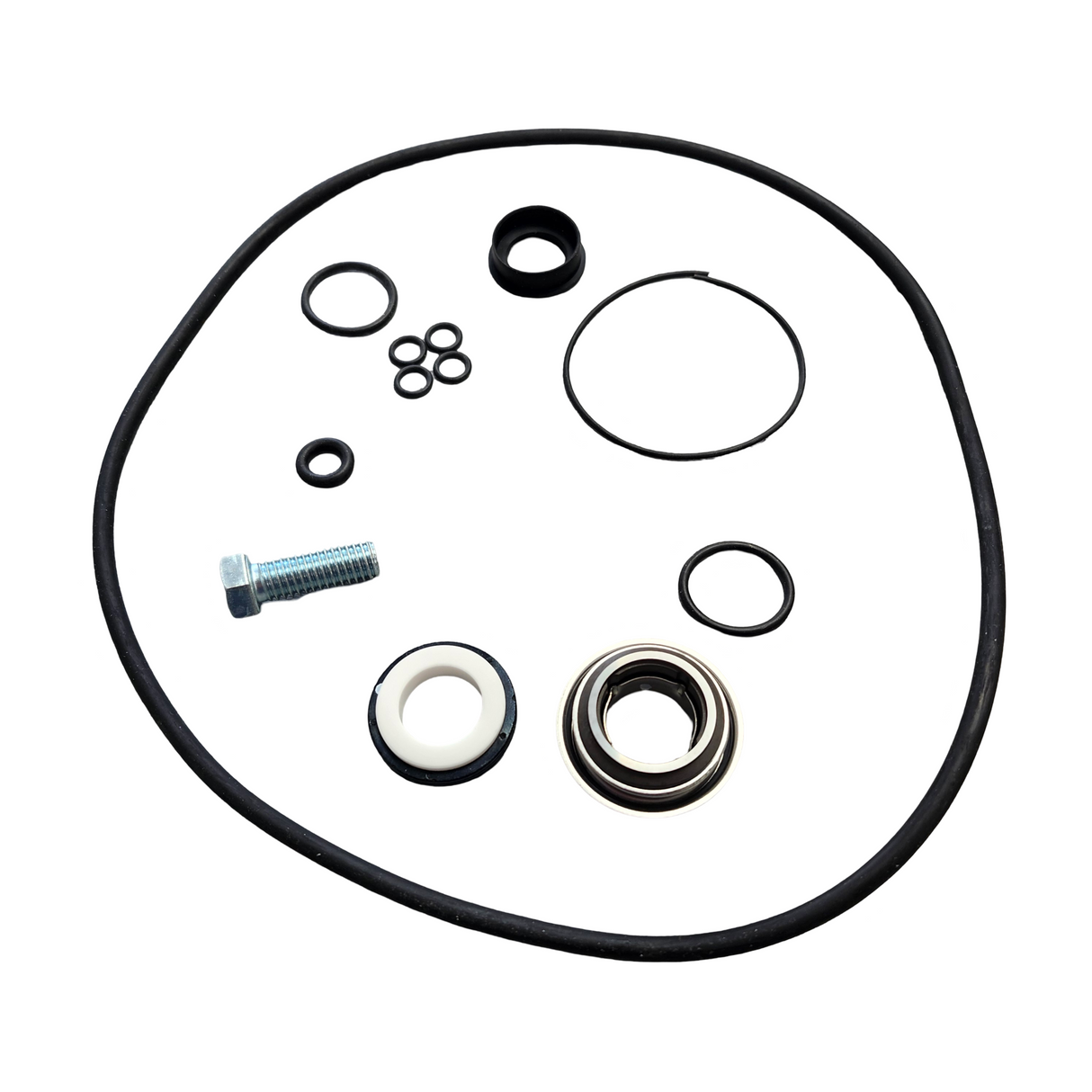 Banjo Replacement 3 Inch Pump Seal and O-Ring Kit - 13999