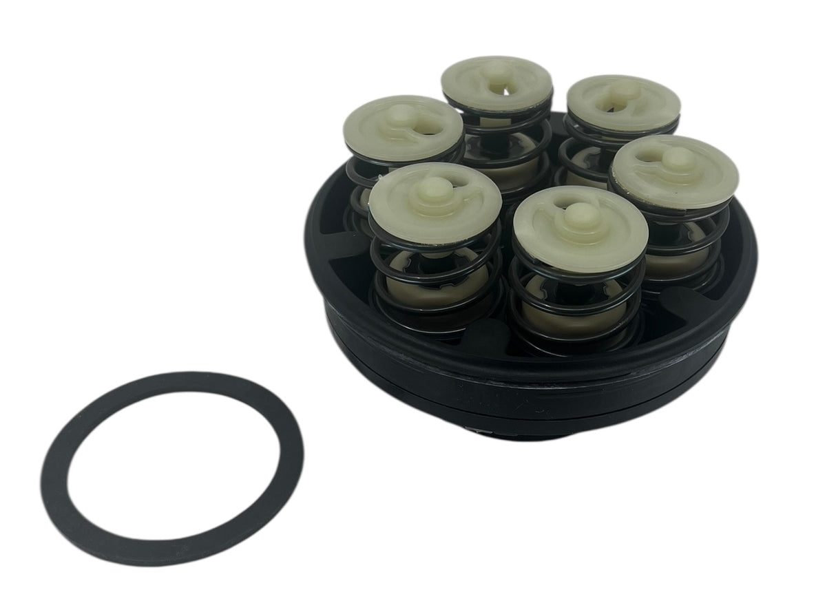 Dura Products Viton AG Cartridge Kit For 6000 Series Pump - DP-P6017A-V