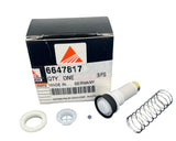 Agco Piston Kit For Spra Coupe Carburetor 215/216, 218, And 220/230 - 6647817