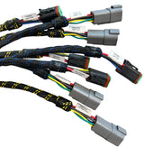 Capstan AG EVO Power To Can X 3 Trunk Harness - 150003-017