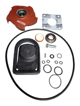 Banjo Pump Repair Kit for 222 Series Pumps - 15000