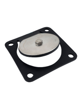 Banjo Inlet Flange Viton Gasket and Check Assembly for Stainless Pumps - 17017