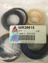Agco Seal Kit for Wilmar, Challenger, and Spra-Coupe - WR36615
