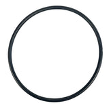 Banjo 3 Inch Line Strainer EPDM Gasket For End Cap - LS300ECG