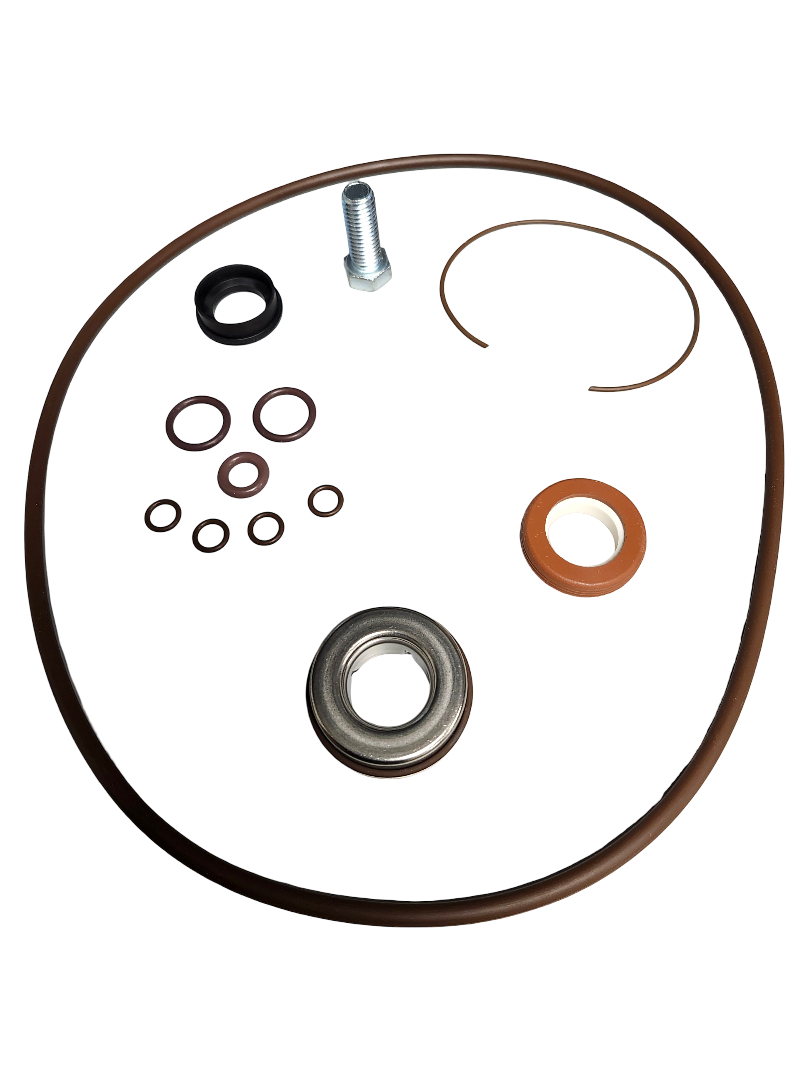 Banjo 2 Inch Poly Pump Viton Seal and O-Ring Kit - 12999AV