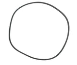 Hypro Buna Gasket For 16 Inch Polypropylene Hinged Tank Lid - 356660-020NB