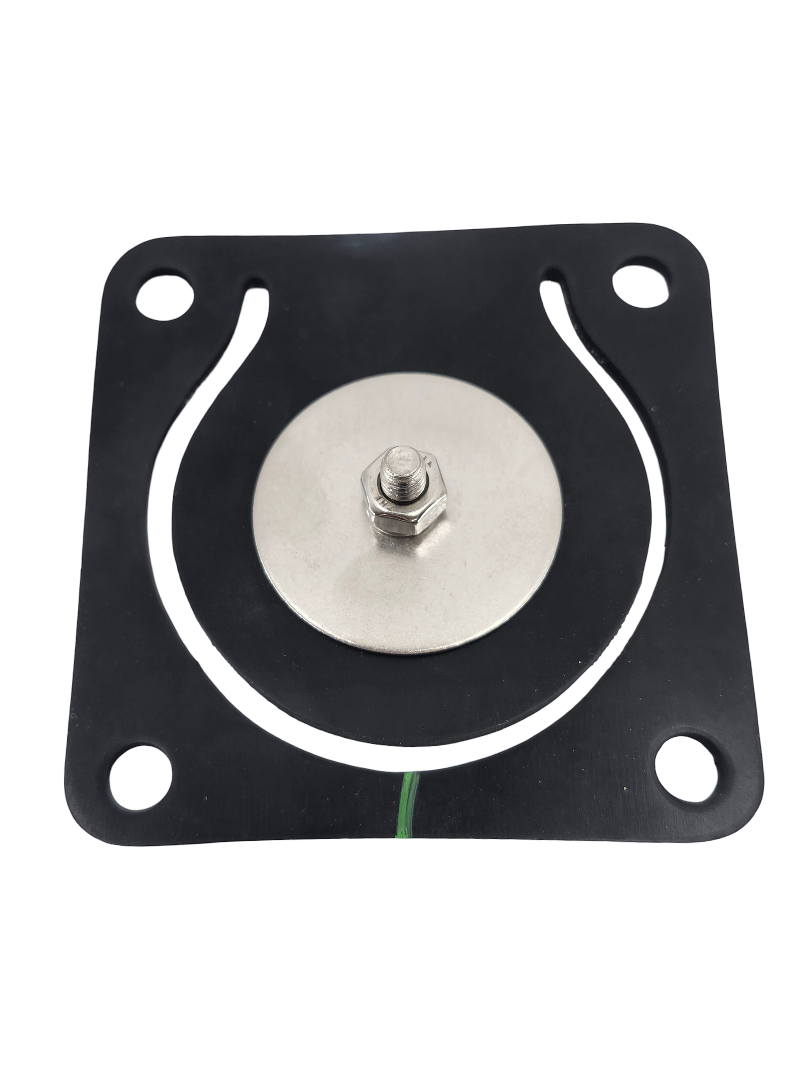 Banjo Inlet Flange Viton Gasket and Check Assembly for Stainless Pumps - 17017