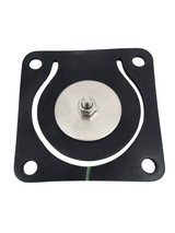 Banjo Inlet Flange Viton Gasket and Check Assembly for Stainless Pumps - 17017