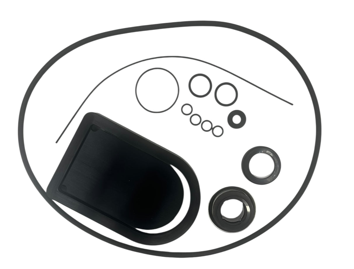 Hypro Viton Seal Kit For 2 Inch Poly Transfer Pump 1540 And 9342 Series - 3430-0659