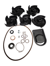 Banjo Viton Repair Kit for 1-1/2" And 2" Poly Centrifugal Pumps - 12000AV