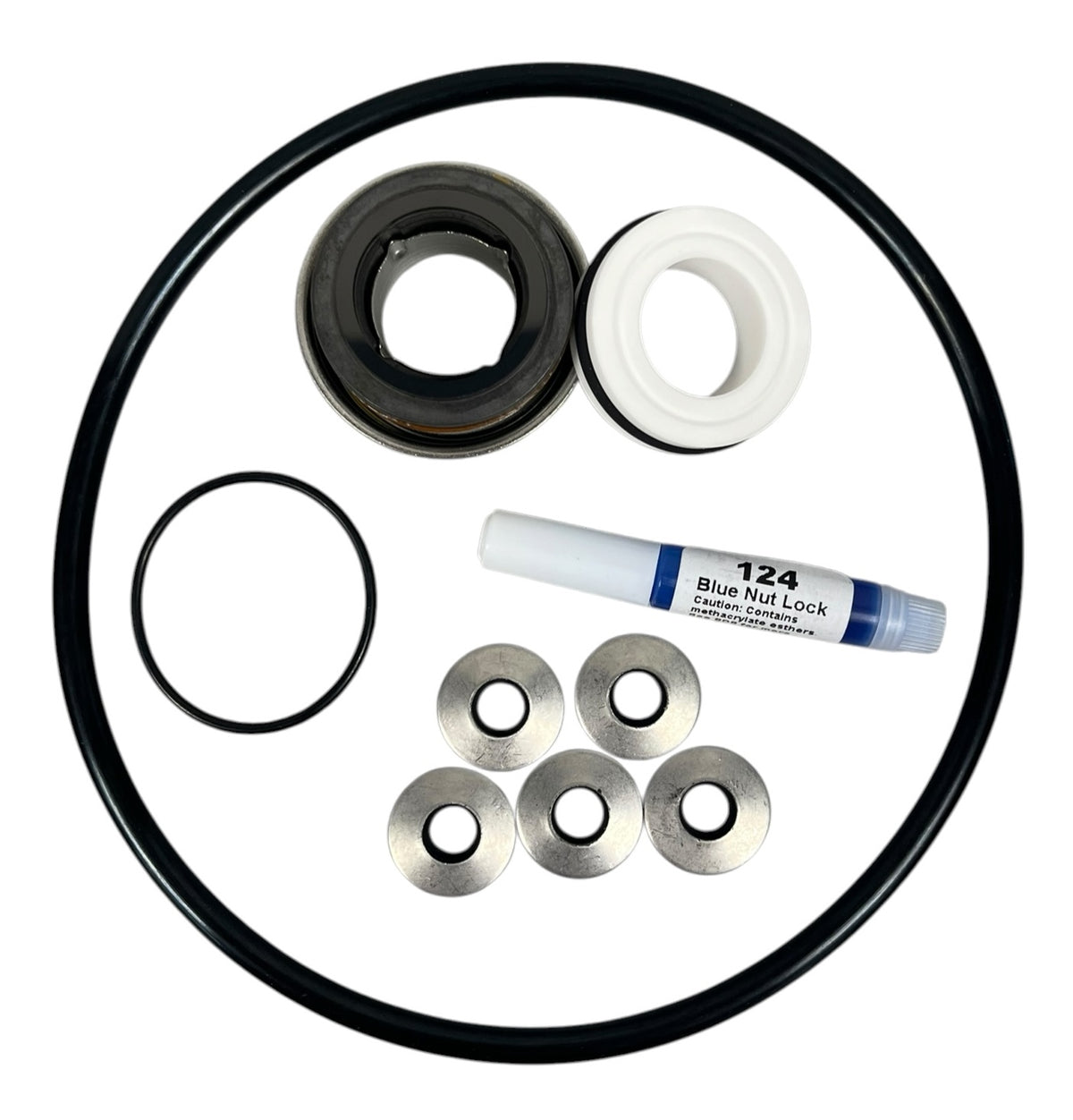 Ace Pumps Repair Kit Assembly for GE-85 Pump (60845) - RK-GE-85